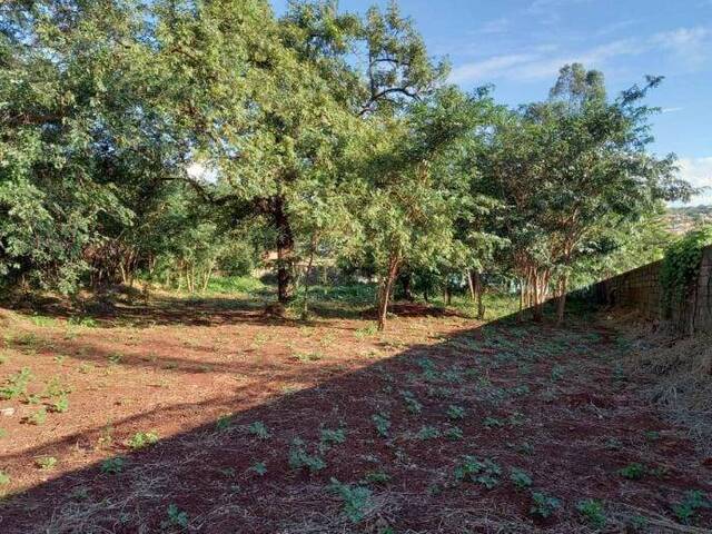 #1630 - Área para Locação em Ribeirão Preto - SP - 1