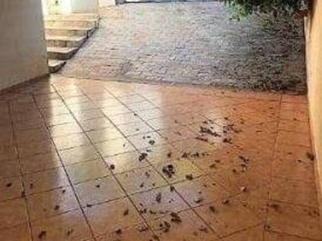 Casa para Locação em Ribeirão Preto - 5