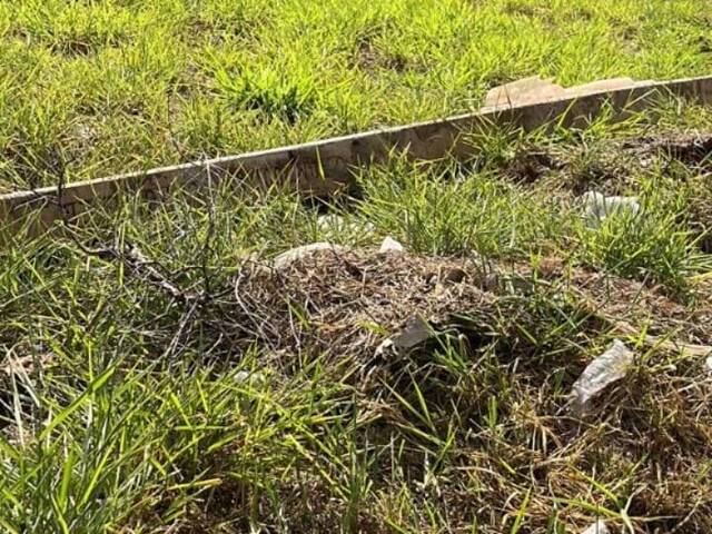 #1714 - Terreno para Locação em Ribeirão Preto - SP