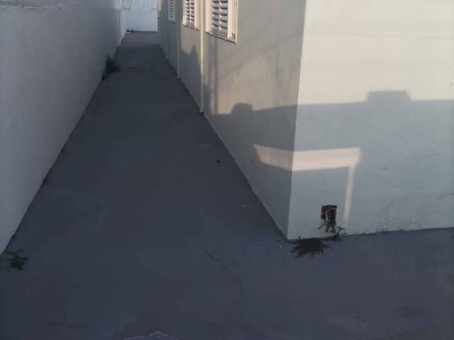 Casa para Locação em Ribeirão Preto - 2